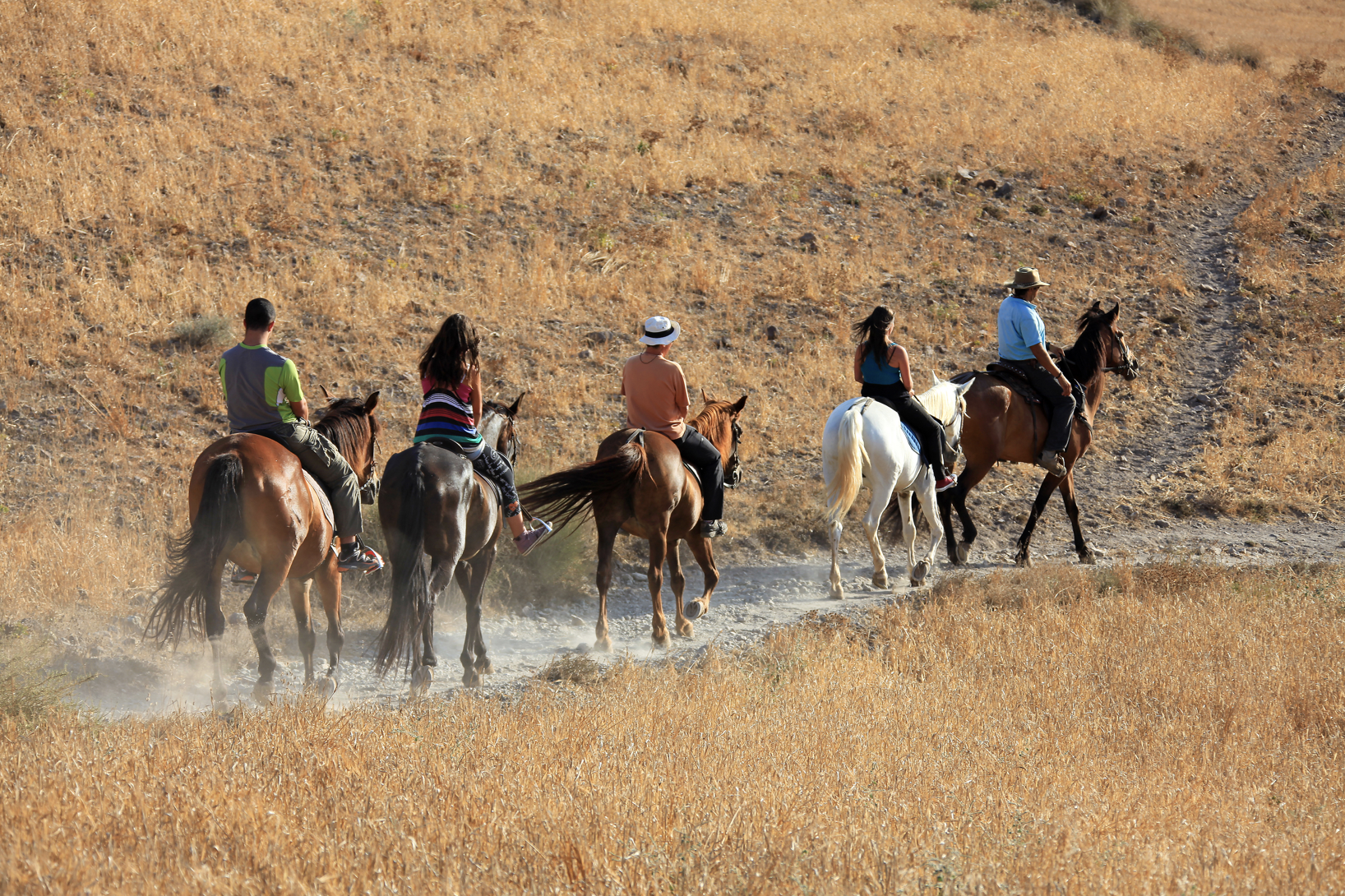 Caballos